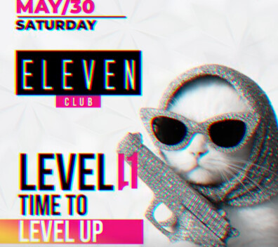 Level 11